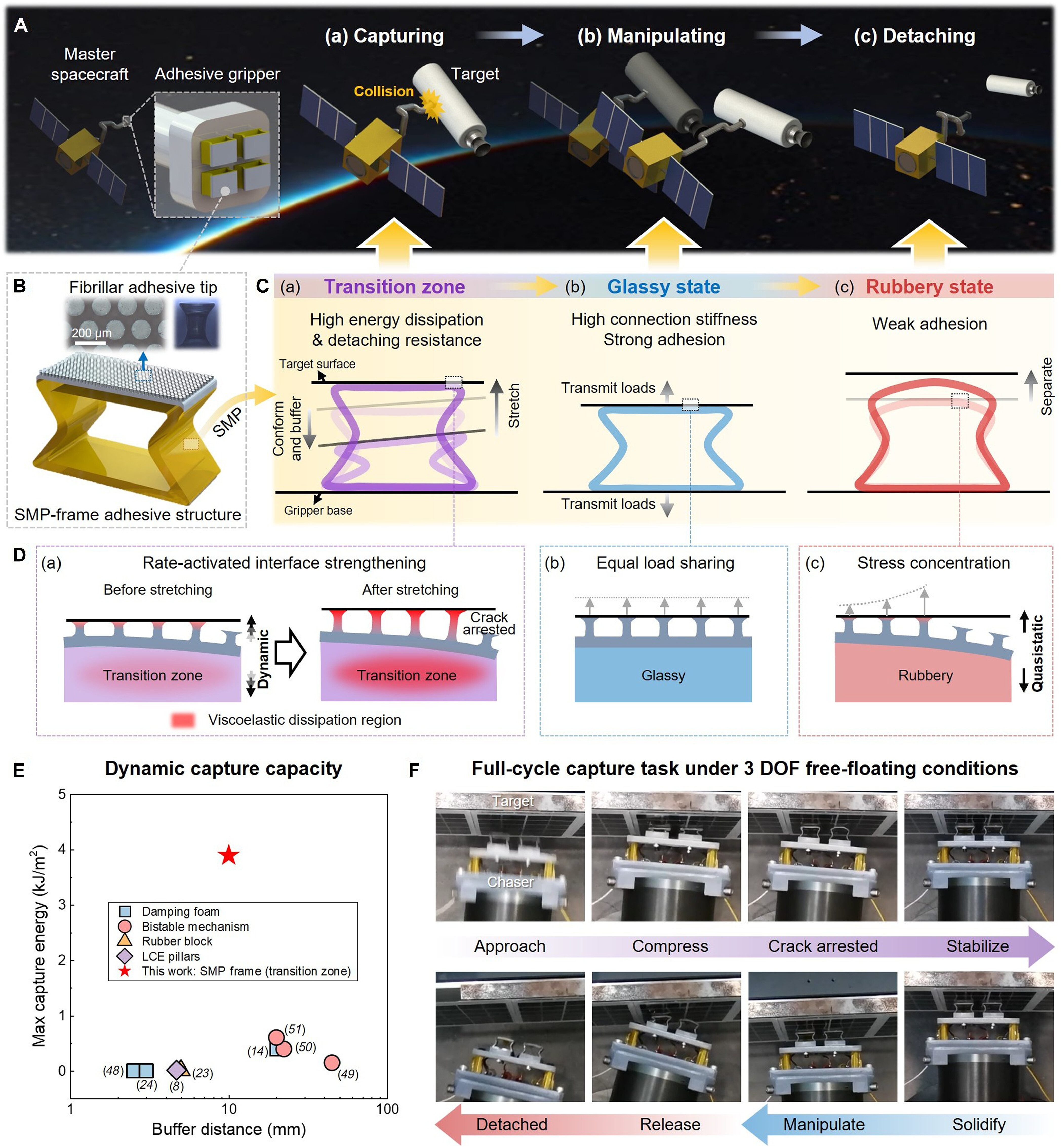 1760348225653192.jpg sciadv.adz7566-f1.jpg